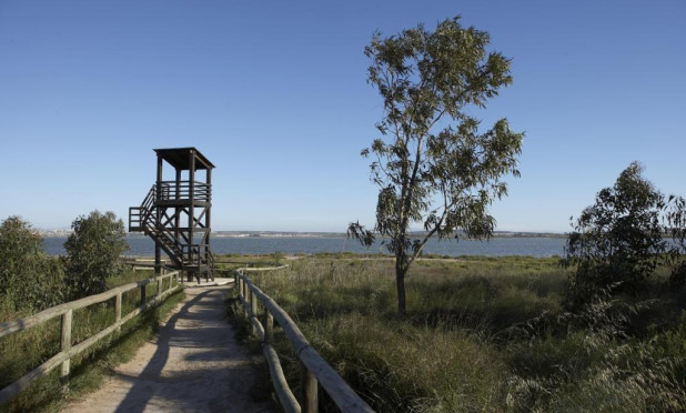 Obra nueva - Adosado - Torrevieja - Torrejón