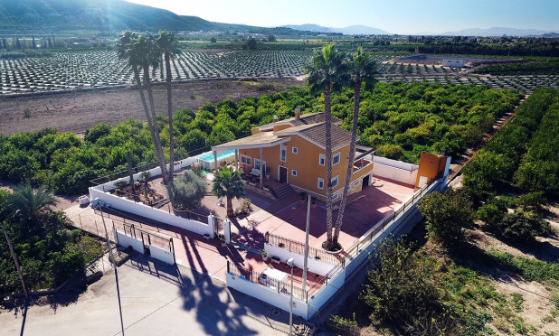 Herverkoop - Finca / Country Property - Orihuela