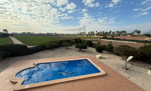 Revente - Finca / Country Property - Catral