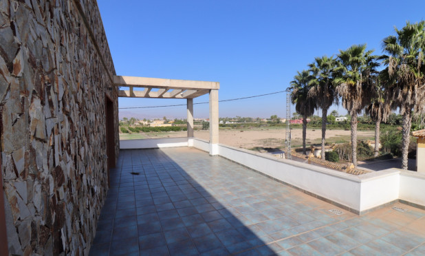 Reventa - Finca / Country Property - Catral