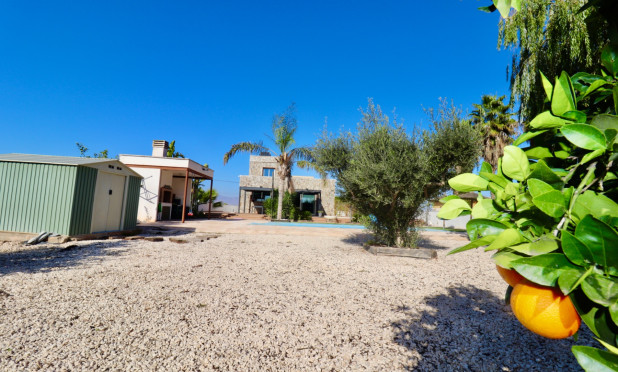 Reventa - Finca / Country Property - Catral