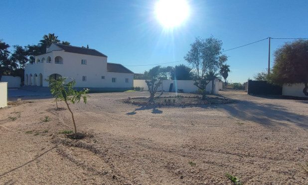 Reventa - Finca / Country Property - Catral