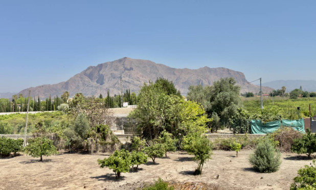 Resale - Finca / Country Property - Orihuela