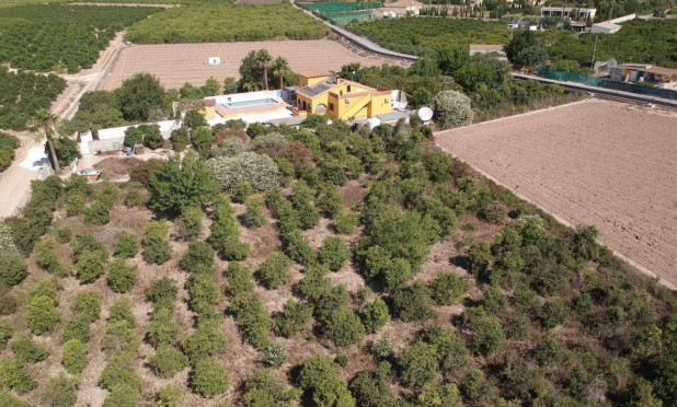 Resale - Finca / Country Property - Orihuela