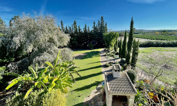 Revente - Finca / Country Property - Daya Vieja