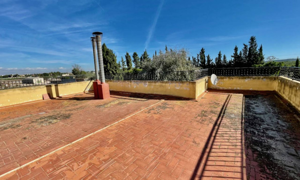 Revente - Finca / Country Property - Daya Vieja