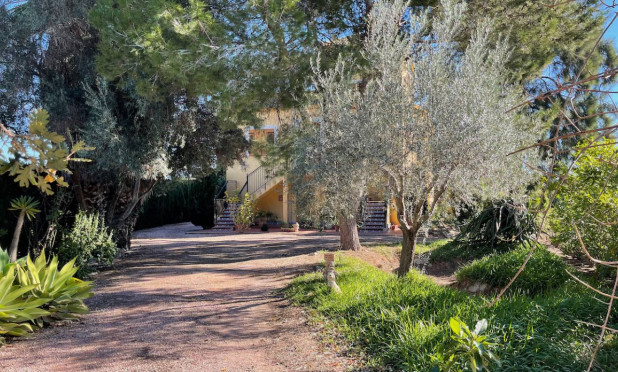 Revente - Finca / Country Property - Daya Vieja