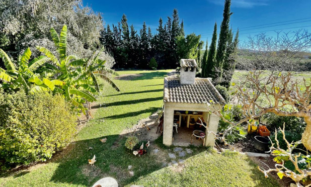 Revente - Finca / Country Property - Daya Vieja