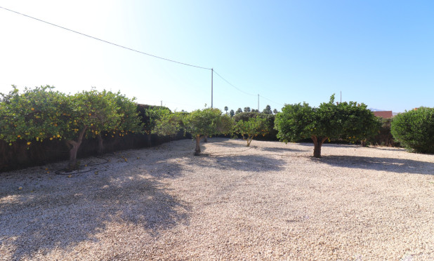 Revente - Finca / Country Property - Catral - Catral - Country