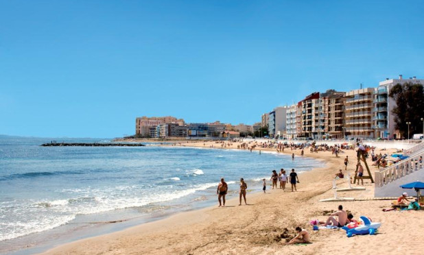 Neue Gebäude - Wohnung - Torrevieja - Playa del Cura