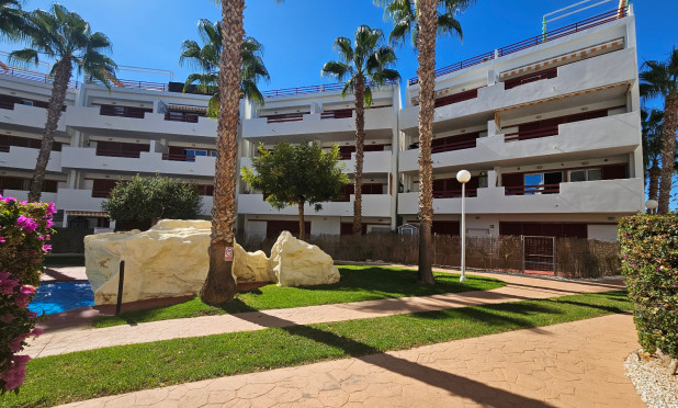 Reventa - Apartamento / piso - Playa Flamenca - El Rincon