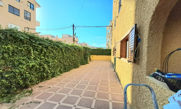 Resale - Apartment / flat - La Mata