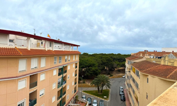 Revente - Appartement - Guardamar del Segura - Pineforest