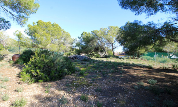 Wiederverkauf - Villa - Orihuela Costa - Mil Palmeras