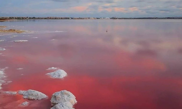 Obra nueva - Adosado - Torrevieja - Lago Jardin