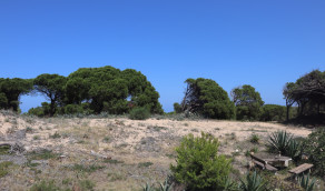 Location à long terme - Maison de ville - Guardamar del Segura - Urbanizaciones